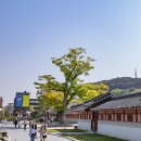 수원-0389 Daum카페