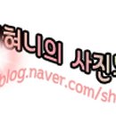 아산더편한산부인과의원 이미지