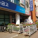 다솜화원 이미지