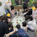 인천나비공원 이미지