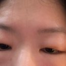포트루 이미지