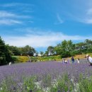 명관농장 이미지