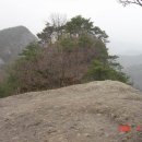 남부 부부시비 이미지