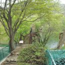 순천(화순) 일일레저타운의 아름다운 연못과 철갑상어회-02 이미지