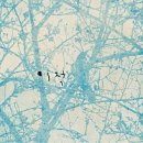 구민세탁소 이미지