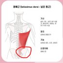 헬스플로 | [초지동헬스장] 다이어트와 무릎연골파열 재활운동을 하고 계시는 40대 여성헬스 후기