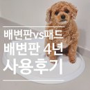 강아지배변패드매트 vs 배변판 , 가벼운 리틀팩토리 강아지 배변판 후기