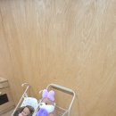 능소담 키즈풀빌라 펜션 이미지