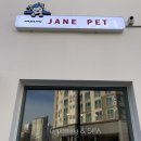 제인펫 이미지