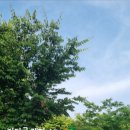 강당골캠핑파크 이미지