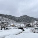 포칠민박 | 강원도 양양 숙소 ) 강원도 촌캉스 감성 독채민박 아느칸가 코지동,부뚜막 이용 후기