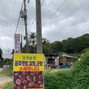 유계주유소