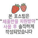 동지화캠핑 이미지