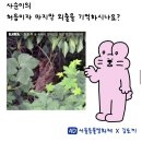 제6회 서울동물영화제 (10.19~10.23) 이미지