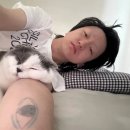 우레 이미지