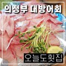 조선매운탕 | 의정부 민락동 오늘도횟집 대방어회 맛집 매운탕 점심특선 초밥까지