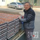 송오농장 충북넷