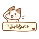 동인본가 개신점 이미지