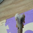 일이삼먹방치킨 이미지