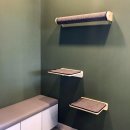 내포동물의료센터 이미지