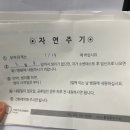 마마앤파파 | 마마파파앤베이비 산부인과 난소나이 검사 후기 (배란 초음파, 정액검사)