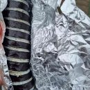 (주)칠성렌트카 이미지