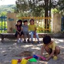 금성초등학교금계분교장 이미지