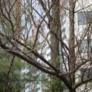 발바닥공원 이미지