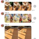 사천견생 이미지