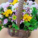 꽃이야기와 치유 이미지