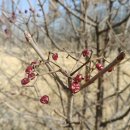 갈매천변 이미지