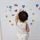 엠버홀릭