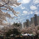 임화농장 | 한라산 여행상품 추천