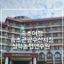 농수산시장 농협 옆 | 속초 여행 속초 관광수산시장 설악 농협연수원