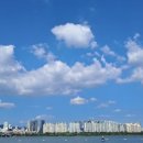 마포 외국어번역 행정사 사무소 이미지