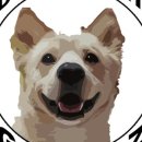 지에스25 대구중앙점 이미지