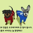 피자스쿨남양주 이미지