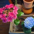 오정구 까치로20번길 13-7 이미지