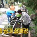 영자의 돼지꿈 네이버블로그