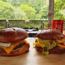 느티나무 캠핑장 이미지