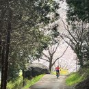 명정고개길 이미지