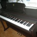 수원-0959 이미지