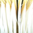 화성통운(주) 이미지