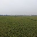 덕진-118 이미지