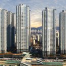 제니스약국 이미지