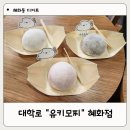 유키모찌혜화점 | 혜화역 디저트/간식 맛집 유키모찌 혜화점 내돈내산 후기