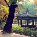 달빛명월 이미지