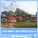 승촌보캠핑장 이미지