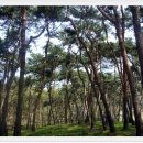 단골숯불갈비 이미지