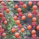 대웅농장 이미지